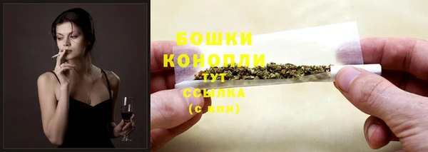 стафф Богданович