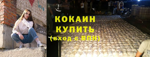 стафф Богданович