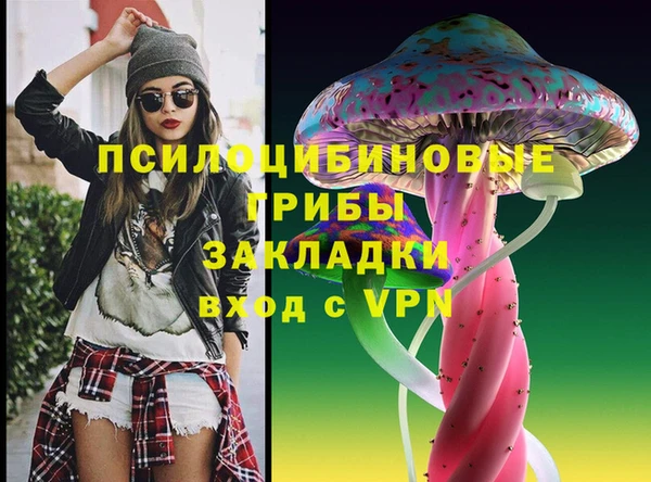стафф Богданович