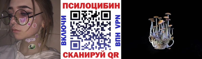 Псилоцибиновые грибы GOLDEN TEACHER  где купить наркоту  Муравленко 