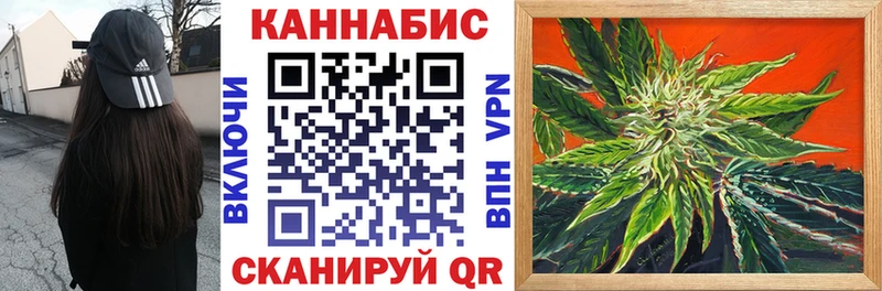 Каннабис сатива  Муравленко 